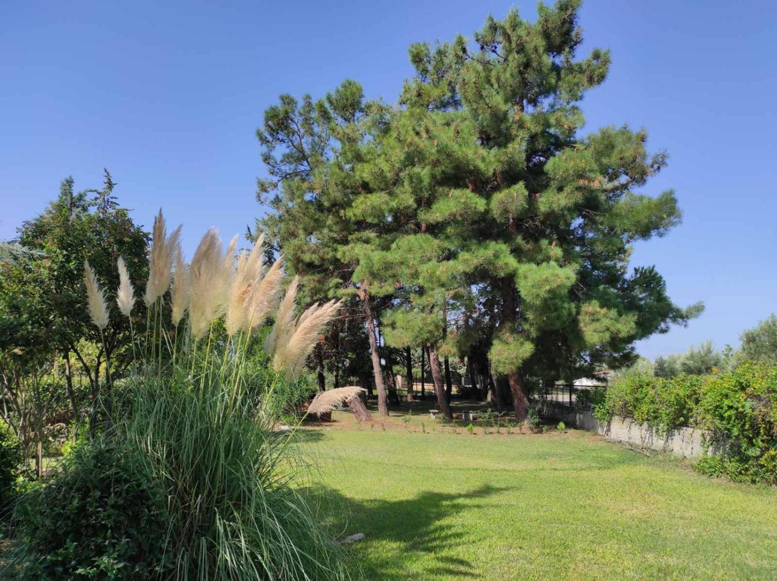 Pond And Pines, By Nice House By The Sea! Epanomi Exterior photo